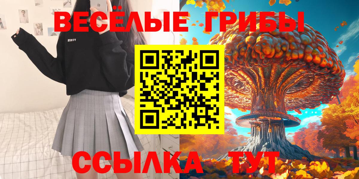 Псилоцибиновые грибы GOLDEN TEACHER  Вход с VPN  где купить наркотик  Кропоткин  Галлюциногенные грибы Cubensis 